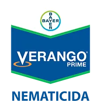 VERANGO® PRIME
